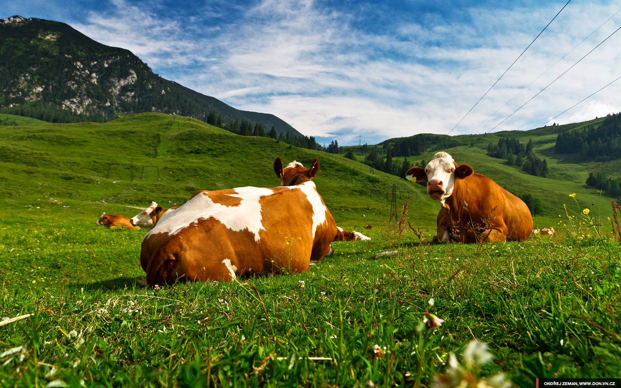 Austrian Alps @ Summer 2012