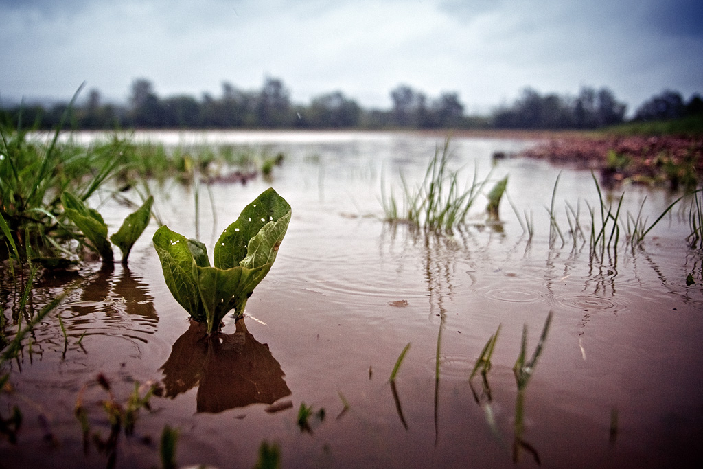 Floods - May 2010 (Rožnov p. R. , Valaššské Meziříčí, Bystřička)