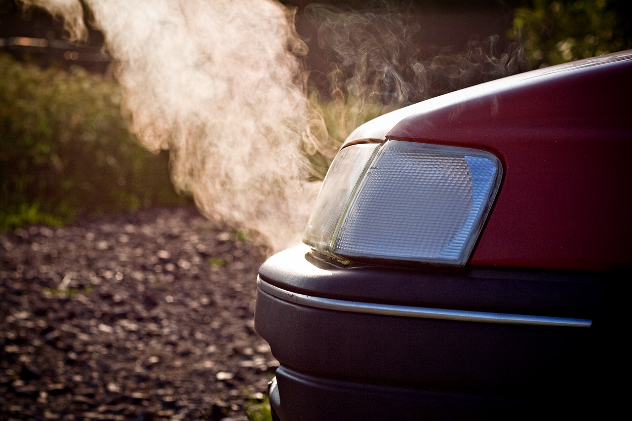 Sunday drive snapshots 