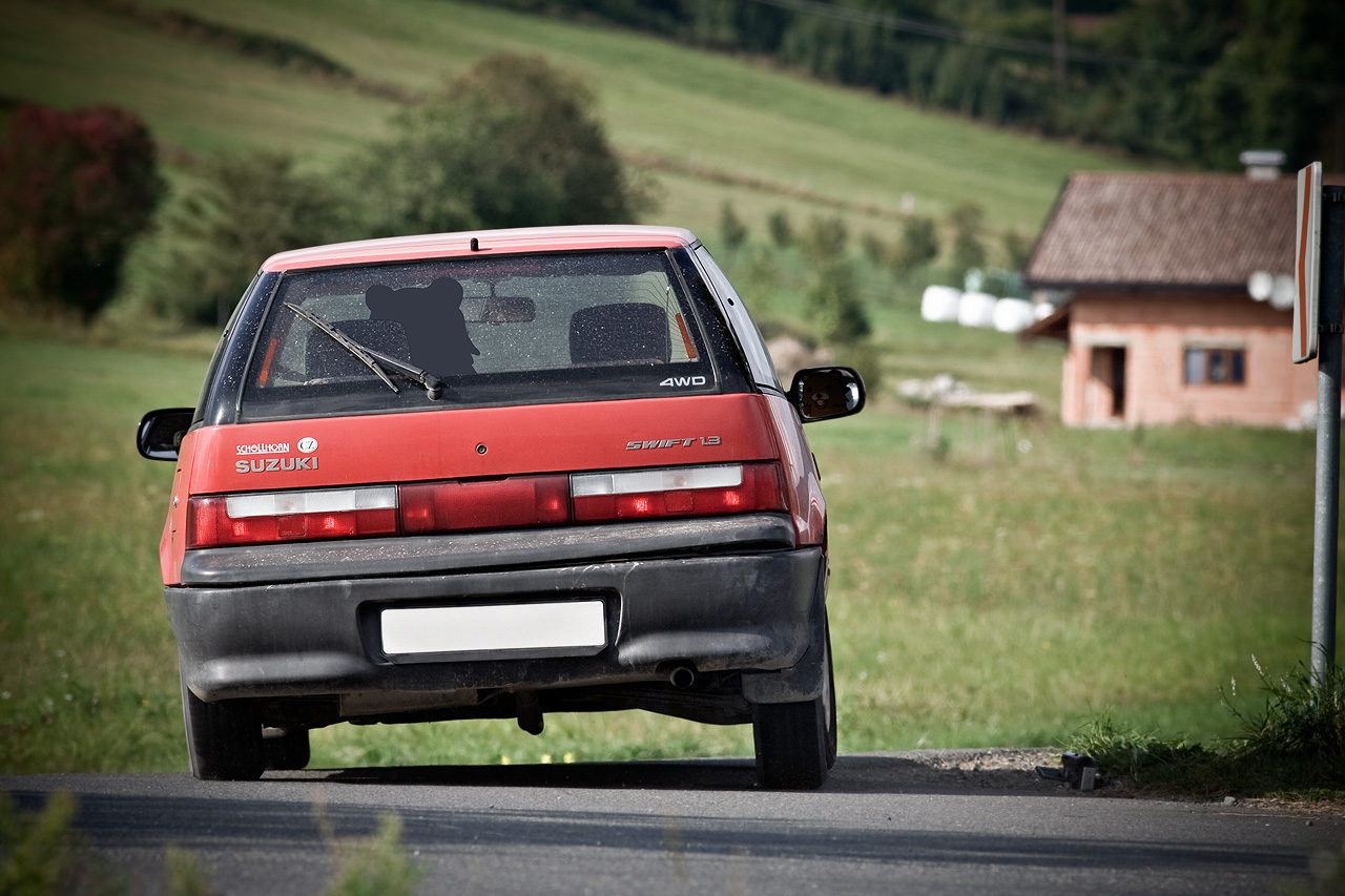Suzuki Swift 4x4 rally action