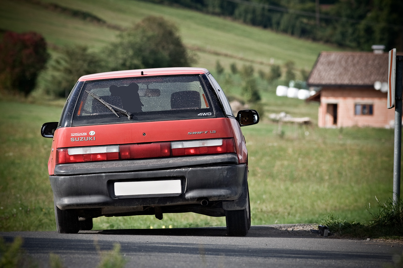 Suzuki Swift 4x4 rally action