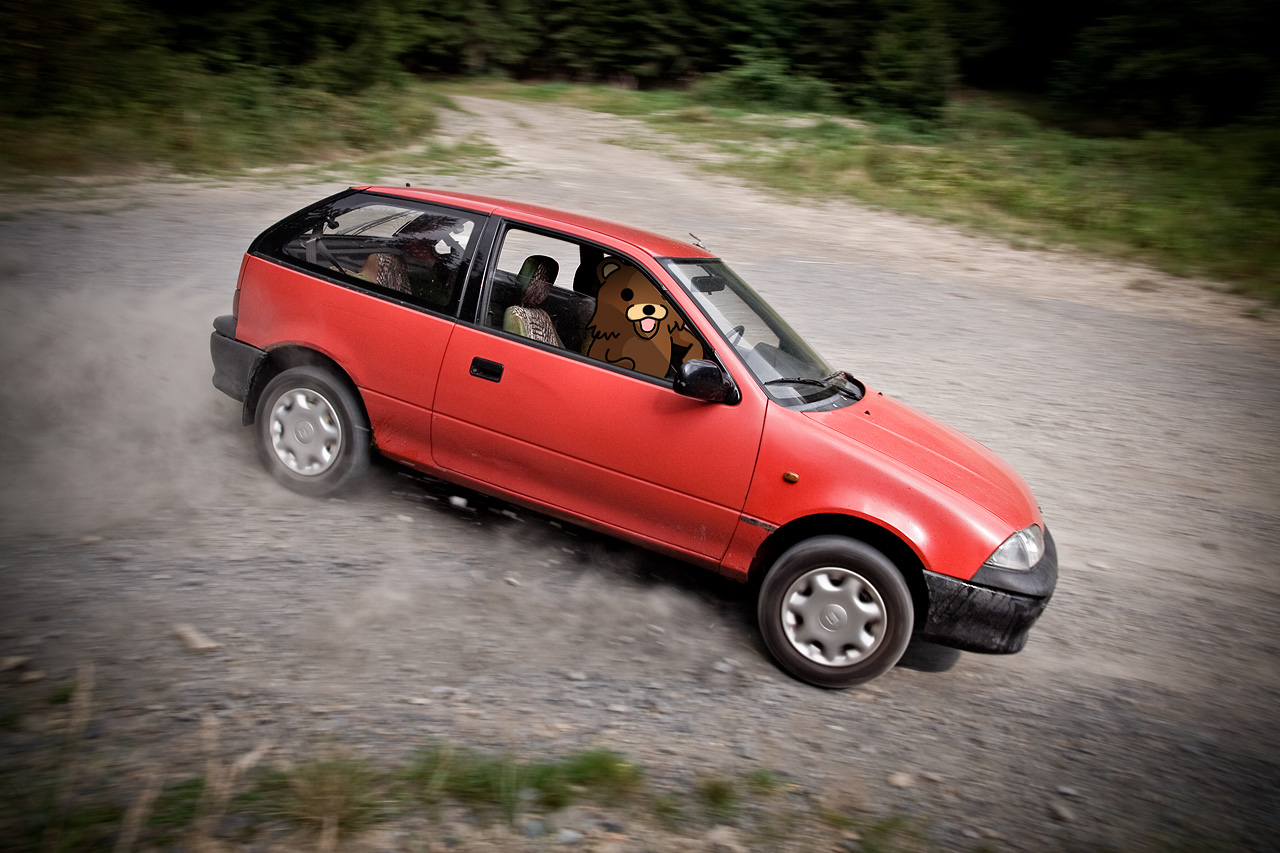 Suzuki Swift 4x4 rally action