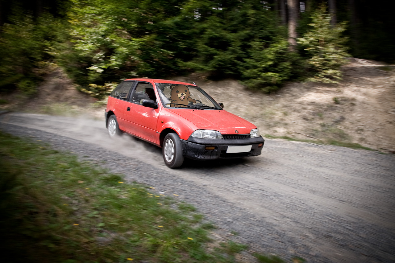 Suzuki Swift 4x4 rally action