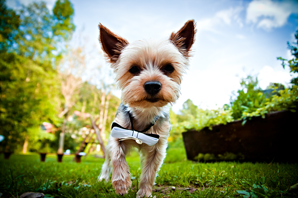 Wedding Magda + Pavel