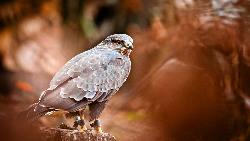 Zoo Olomouc