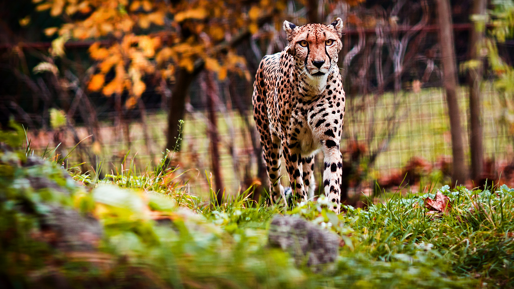 Zoo Olomouc