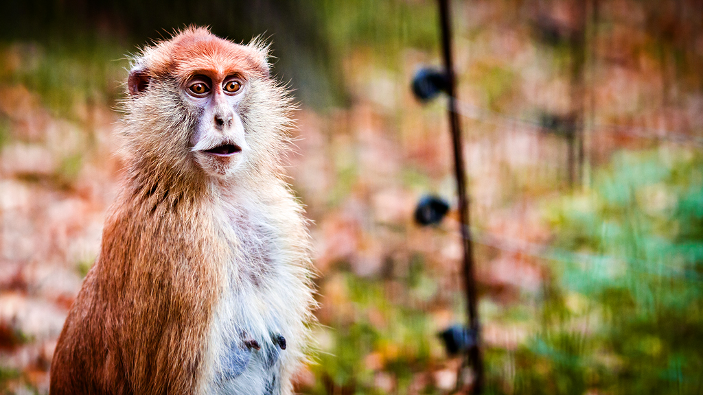 Zoo Olomouc