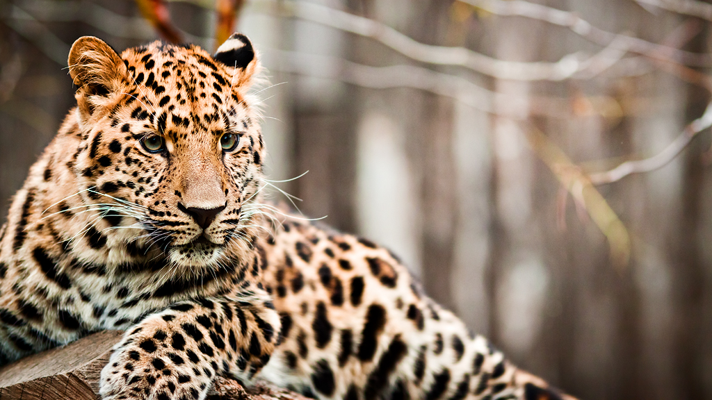 Zoo Olomouc