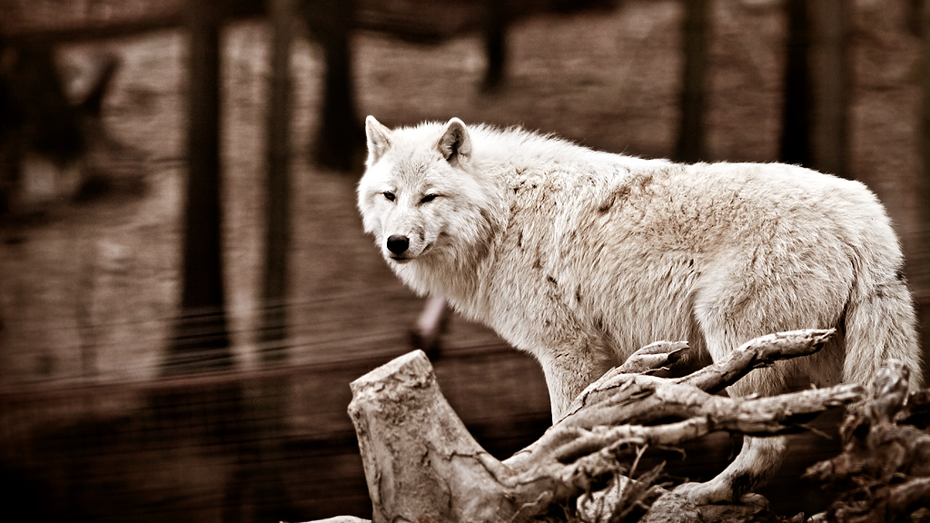 Zoo Olomouc