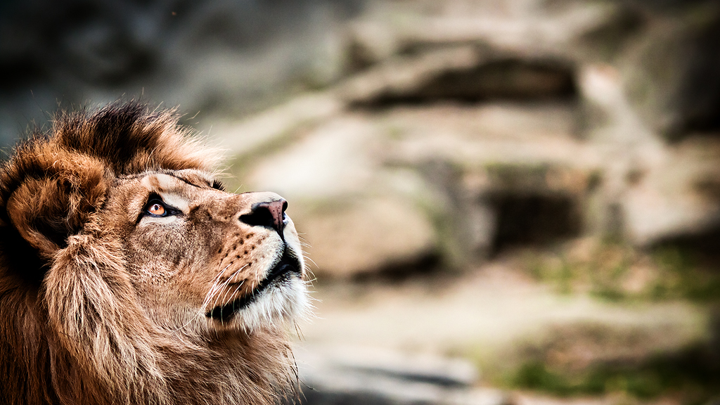 Zoo Olomouc