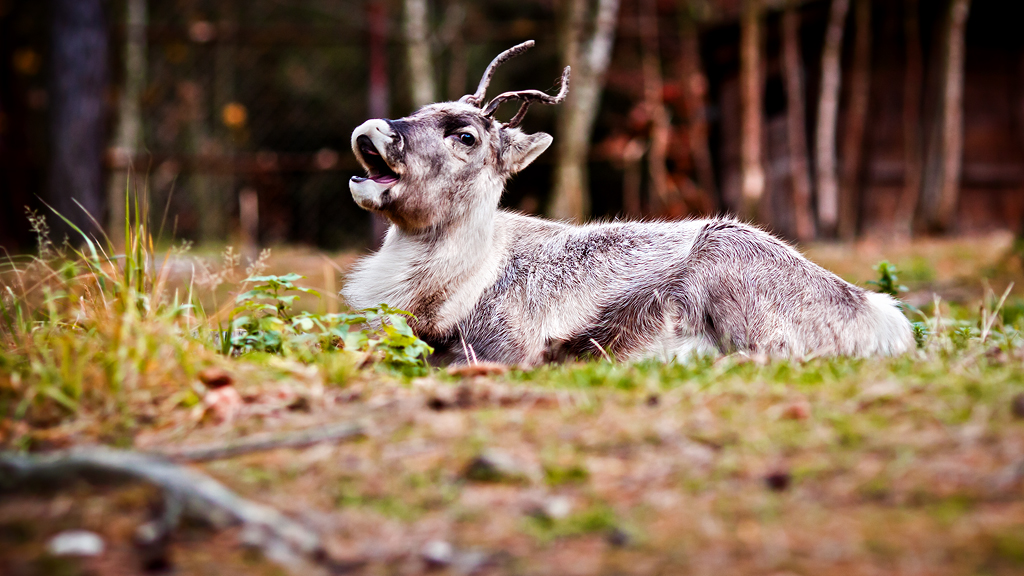 Zoo Olomouc