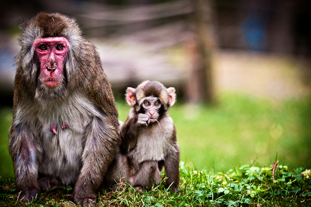 Zoo Olomouc