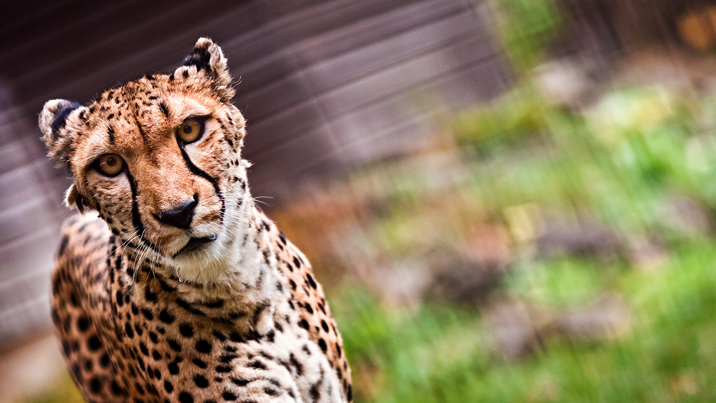 Zoo Olomouc