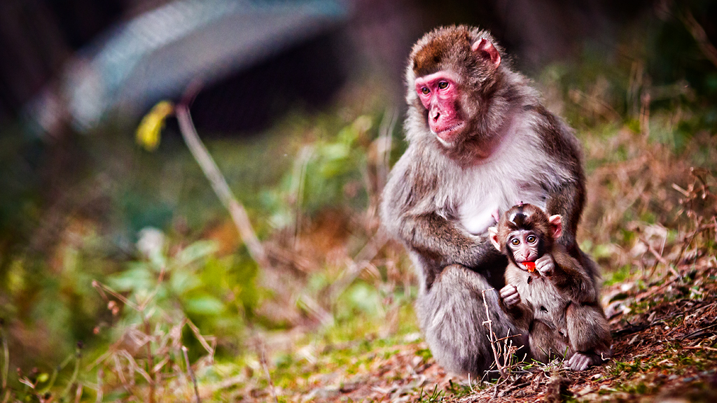 Zoo Olomouc