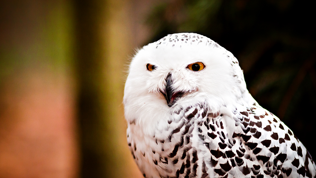 Zoo Olomouc