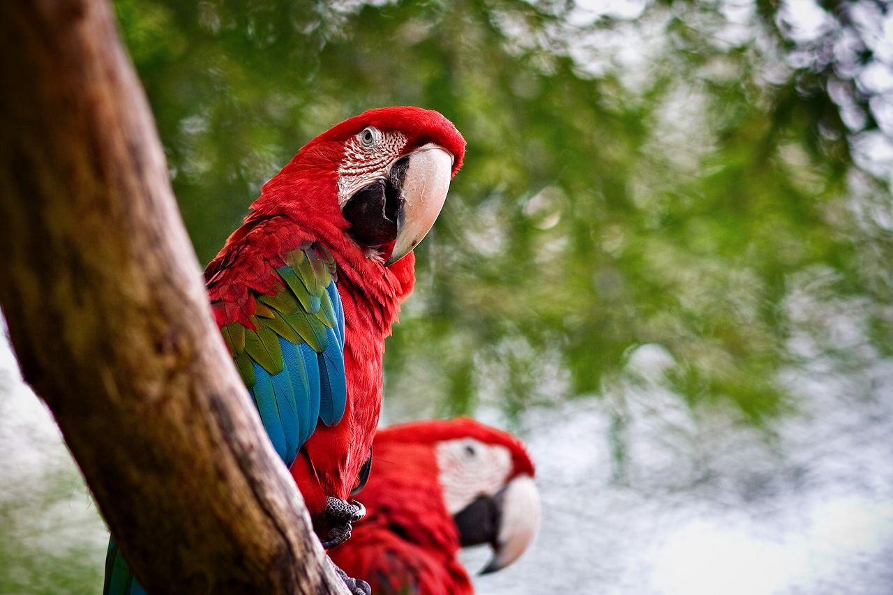 Zoo Lešná - Zlín 
