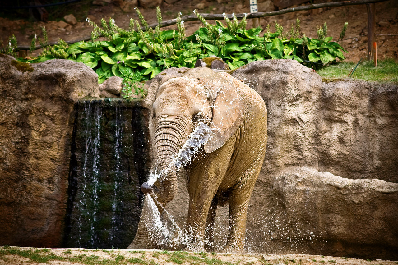 Zoo Lešná - Zlín 